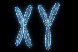 Artistic image of X and Y chromosomes, which Gender Criticals seem to think is the be-all and end-all of sex.