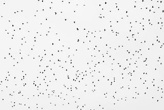 Stakeholder owned software networks