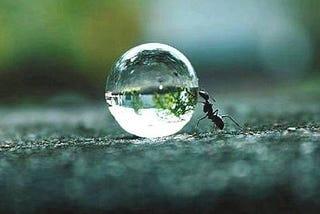Humility, Grace, & Post-Hoc Fallacy