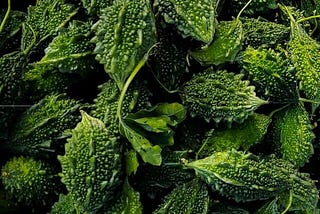 Bitter Melon Benefits for Diabetes: 5 Surprising Benefits to Lower Blood Sugar