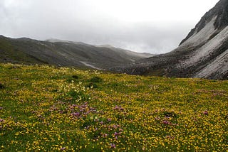 Best-Time-To-Visit-Bhutan