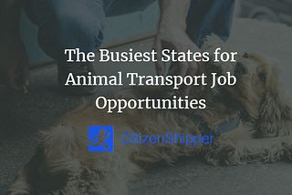 The Busiest States for Animal Transport Job Opportunities