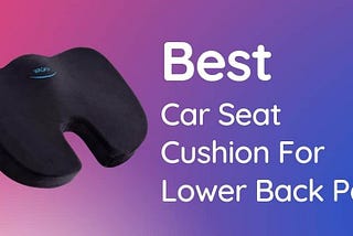 Best Car Seat Cushion For Lower Back Pain And Sciatica 2021 — ChairPicks