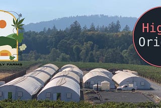 Farm Interview: Mason Family Farms