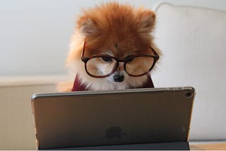 How documentation leads to better teams (and products)