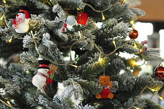 Choosing and Preserving Your Christmas Tree