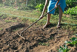 Soil Preparation Methods | How to prepare a garden plot