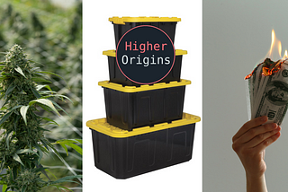 Ideal Cannabis Economics Part 2: Distribution and Branding