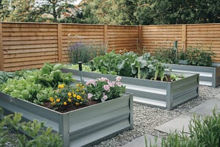Is It Safe to Garden in Steel Raised Beds?