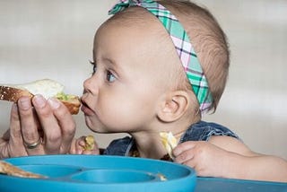 Baby-led Weaning First Foods