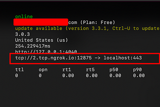 Using Netcat with Ngrok IP for Receiving Reverse Shell