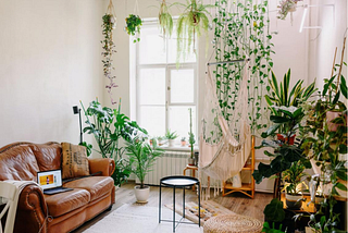 DREAMING OF A HOME WITH PLANTS AROUND?