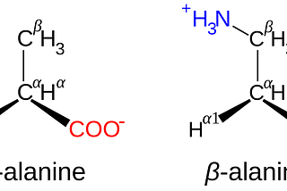 BETA-ALANİN