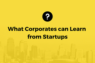 What Corporates can Learn from Startups  Ekipa