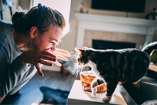 Our Best Tips on How to Bond with Your Cat