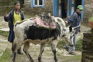 How Can I Donate to Poverty Organizations that Are Providing Income-Generating Opportunities?