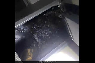 A Strange Meteorite Fell From Space And People Say It Looks Like Something Out of Venom