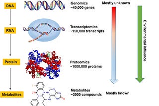 Metabolic Mind: How Metabolites Affect the Brain