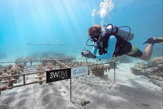 How to Choose a Dive Centre that Practices Sustainable Scuba Diving