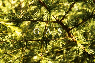 Gas — Pop (Album Review)