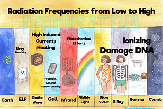 Radiation Protection: Top 3 Tools to Safeguard Against Daily Radiation Exposure