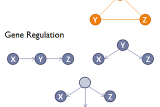 Networks in Biology: an introduction to Gene Coexpression Networks