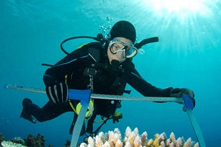 Top Marine Biology Colleges in 2025 for Future Ocean Explorers