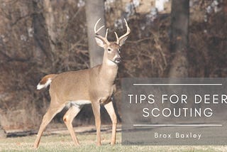 Tips for Deer Scouting | Brox Baxley | Hunting