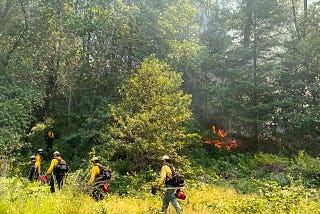 Audubon Canyon Ranch awarded $2M for prescribed fire workforce development