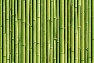 A glimpse into Bamboo as a Construction Material
