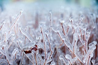 Harnessing the Magic of January: Manifest Your Desires