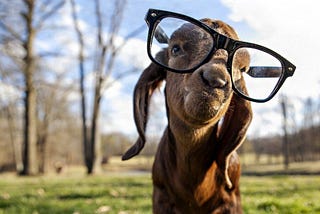 Dear Goats, We See You