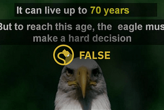 Fact Check: Eagles Don’t Live up to 70 Years and they Don’t Break their Beaks