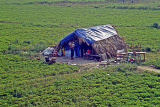 Time for a holistic approach to rural poverty | #CFS43 FAO