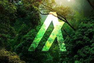 Algorand Is Now