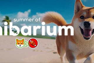 Get ready for a hot Summer of Shibarium!