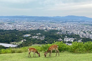 日本生活・奈良縣 奈良市・第三年