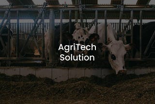 How AgriTech Transforms the Agriculture Industry