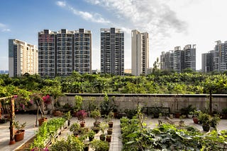 A Case For Urban Agriculture