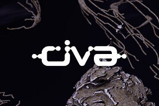 CIVA — Contemporary Immersive Visual Art