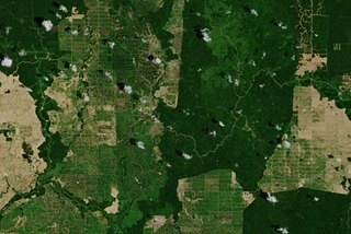 Satellite image of fields — Image Credit: European Space Agency, 2019