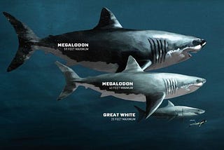 Does Megalodon still exsit?????