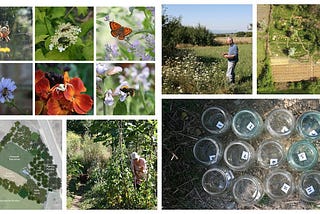 Biodiversity and Habitat in the garden/farm/landscape, why it is important and how we are…