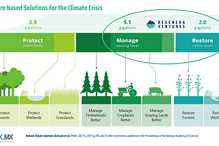 Investing in life vs. investing in tech: Nature is all we need!