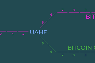 What was the Bitcoin fork and what is Bitcoin cash?