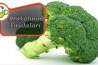 Brokolinin Faydaları