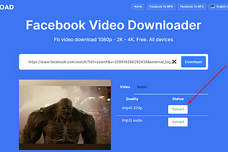 Download Facebook MP4 Video