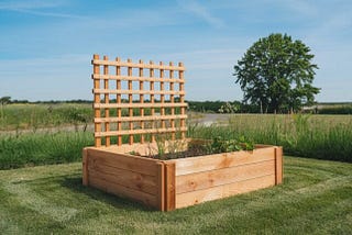 Where to Put Your Raised Beds? Choose the Ideal Location
