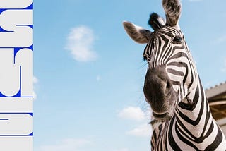 Marketing without a strategy is like a zebra without stripes.