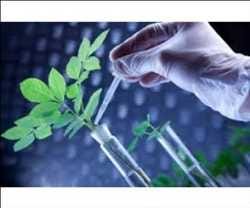Agricultural Biotechnology Market SWOT Analysis, Key Indicators, Forecast 2028 — Monsanto…